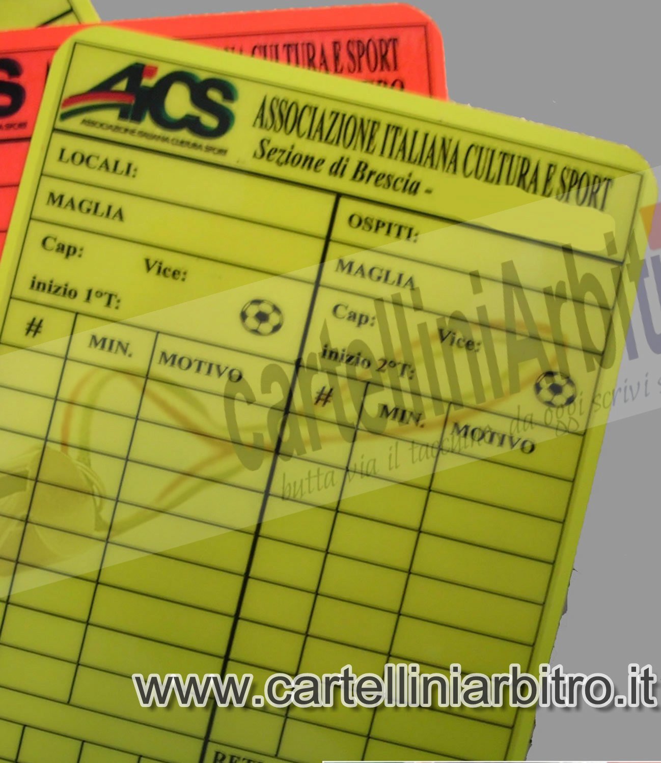 aics2
